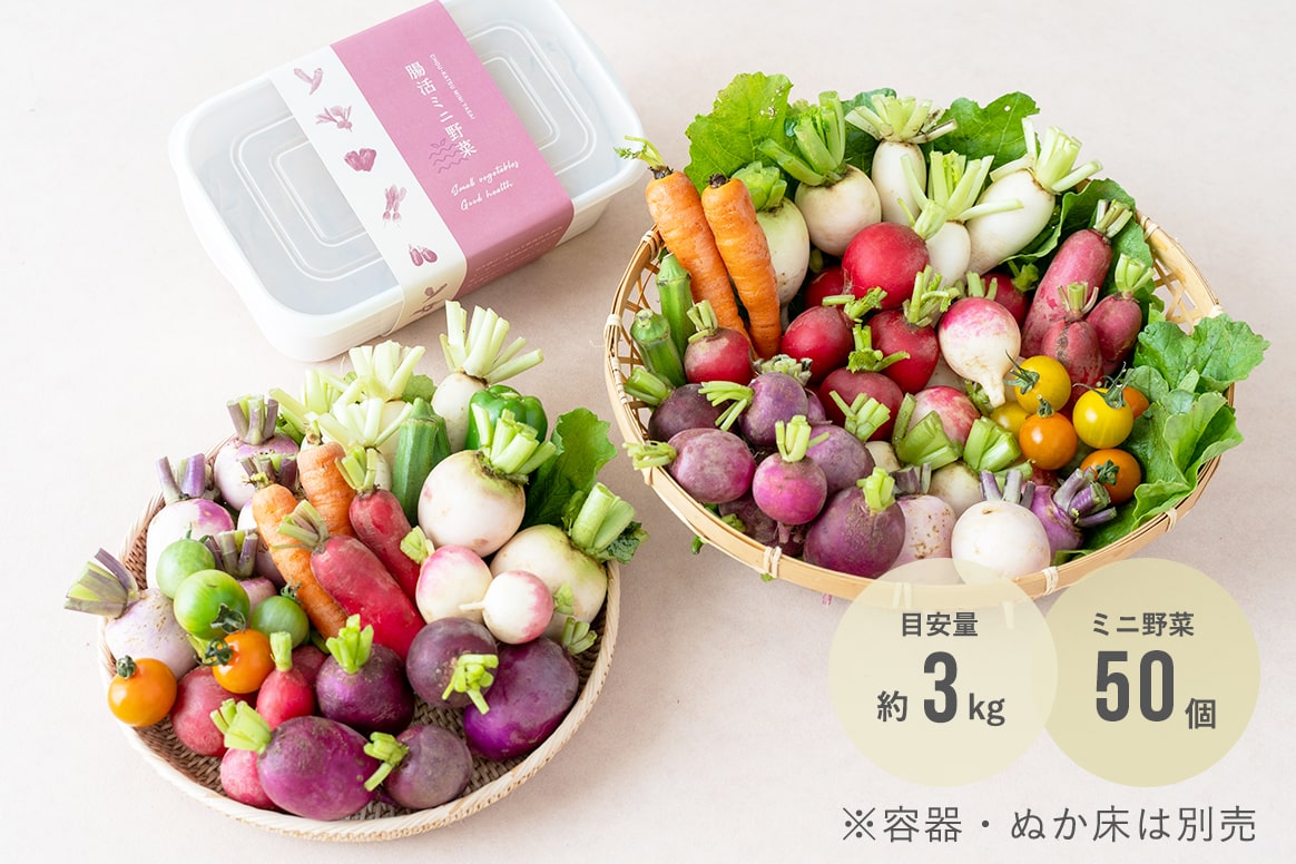 商品一覧【広告用】 | これからの腸活は、楽しみながらが 商品一覧【広告用】 | これからの腸活は、楽しみながらが